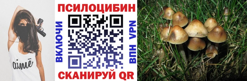 Галлюциногенные грибы мицелий  Купить где  Тында 